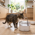 Automatic Pet Water Fountain - Vital Healing Shop